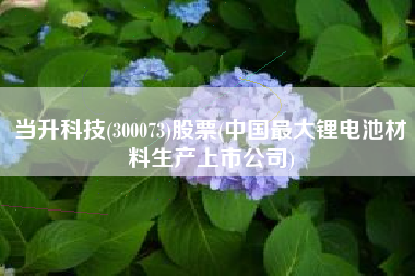当升科技(300073)股票(中国最大锂电池材料生产上市公司)