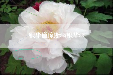 银华道琼斯88(银华88)