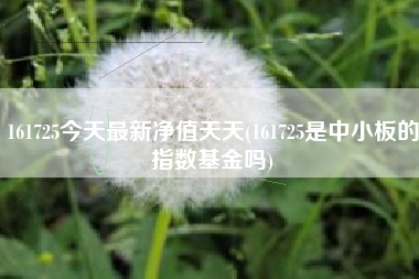 161725今天最新净值天天(161725是中小板的指数基金吗)