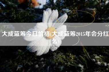 大成蓝筹今日价格(大成蓝筹2015年会分红么)