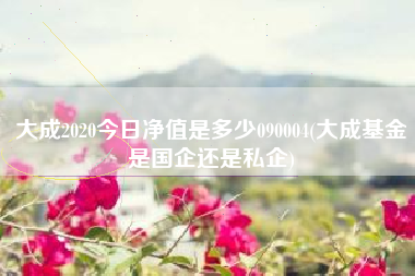 大成2020今日净值是多少090004(大成基金是国企还是私企)