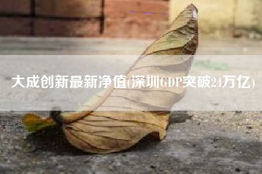 大成创新最新净值(深圳GDP突破24万亿)