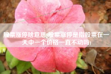 股票涨停啥意思(股票涨停是指股票在一天中一个价格一直不动吗)