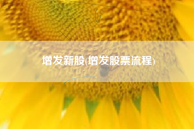 增发新股(增发股票流程)