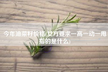 今年油菜籽价格(女方要求一高一动一甩指的是什么)