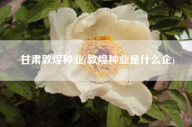 甘肃敦煌种业(敦煌种业是什么企)