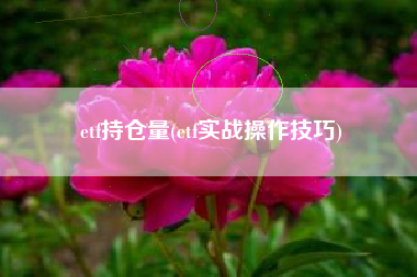 etf持仓量(etf实战操作技巧)