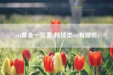 etf基金一览表(科技类etf有哪些)