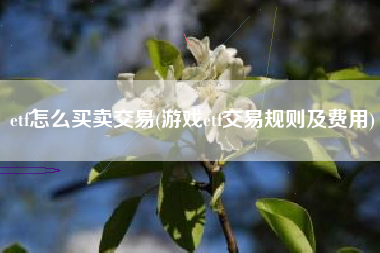 etf怎么买卖交易(游戏etf交易规则及费用)