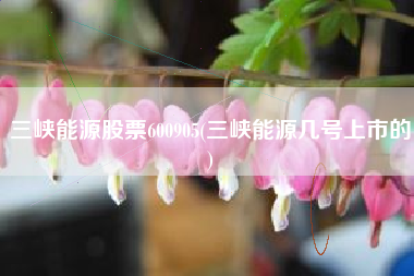 三峡能源股票600905(三峡能源几号上市的)