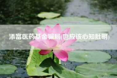 添富医药基金骗局(也应该心知肚明)