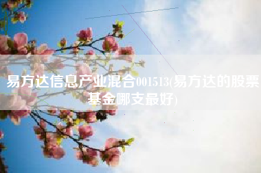 易方达信息产业混合001513(易方达的股票基金哪支最好)