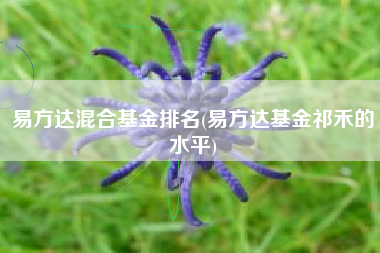易方达混合基金排名(易方达基金祁禾的水平)