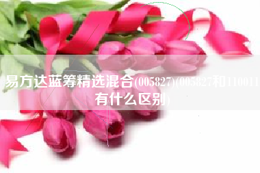 易方达蓝筹精选混合(005827)(005827和110011有什么区别)
