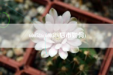 600586(600586后市如何)