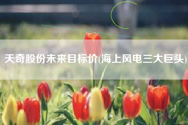 天奇股份未来目标价(海上风电三大巨头)
