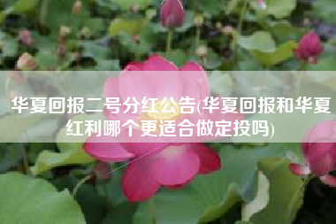 华夏回报二号分红公告(华夏回报和华夏红利哪个更适合做定投吗)