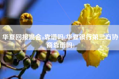 华夏回报混合a靠谱吗(华夏银行第三方协商靠谱吗)