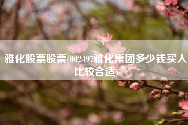 雅化股票股票(002497雅化集团多少钱买入比较合适)