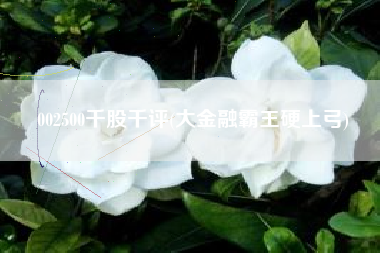 002500千股千评(大金融霸王硬上弓)