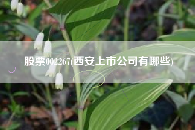 股票002267(西安上市公司有哪些)