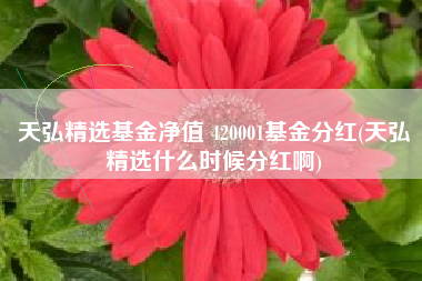 天弘精选基金净值 420001基金分红(天弘精选什么时候分红啊)