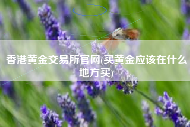 香港黄金交易所官网(买黄金应该在什么地方买)