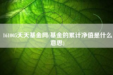 161005天天基金网(基金的累计净值是什么意思)