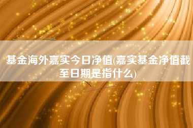 基金海外嘉实今日净值(嘉实基金净值截至日期是指什么)