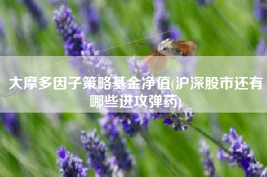 大摩多因子策略基金净值(沪深股市还有哪些进攻弹药)