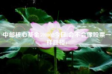 中邮核心基金590002今日(会不会像股票一样跳楼)