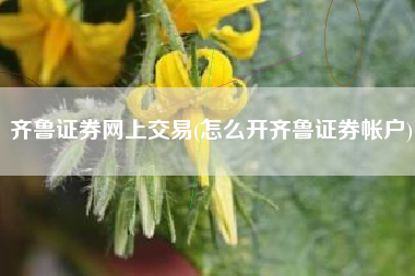 齐鲁证券网上交易(怎么开齐鲁证券帐户)