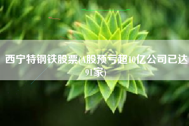 西宁特钢铁股票(A股预亏超10亿公司已达91家)