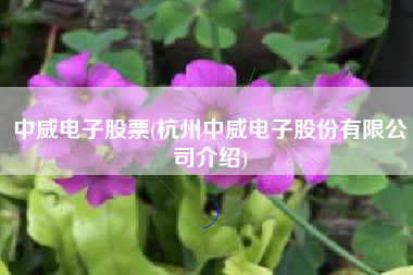 中威电子股票(杭州中威电子股份有限公司介绍)