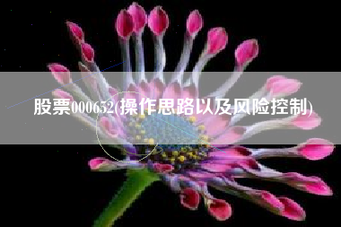 股票000652(操作思路以及风险控制)