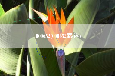 000652(000652泰达)