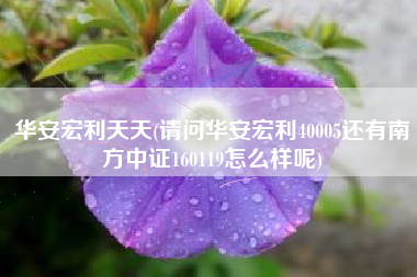 华安宏利天天(请问华安宏利40005还有南方中证160119怎么样呢)