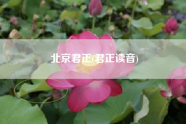 北京君正(君正读音)