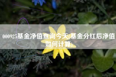000925基金净值查询今天(基金分红后净值如何计算)