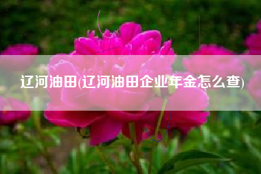 辽河油田(辽河油田企业年金怎么查)