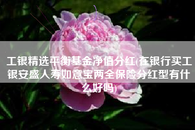 工银精选平衡基金净值分红(在银行买工银安盛人寿如意宝两全保险分红型有什么好吗)