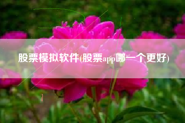 股票模拟软件(股票app哪一个更好)