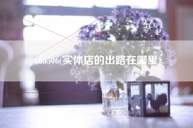 603506(实体店的出路在哪里)
