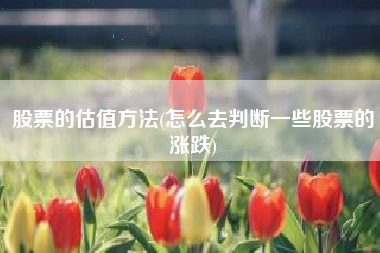 股票的估值方法(怎么去判断一些股票的涨跌)