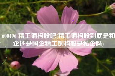 600496 精工钢构股吧(精工钢构股到底是和企还是国企精工钢构股是私企吗)