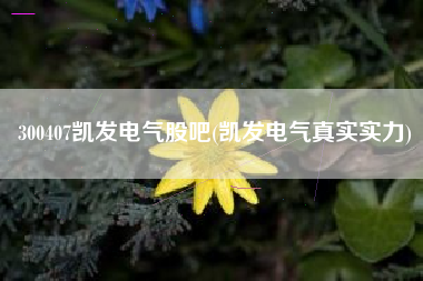 300407凯发电气股吧(凯发电气真实实力)