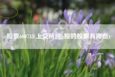 股票600743(上交所纯b股的股票有哪些)