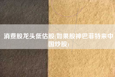 消费股龙头低估股(如果股神巴菲特来中国炒股)