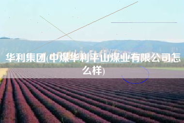 华利集团(中煤华利平山煤业有限公司怎么样)