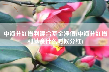 中海分红增利混合基金净值(中海分红增利基金什么时候分红)